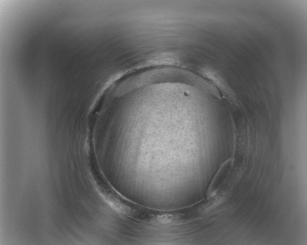 X0000062790064200512261606