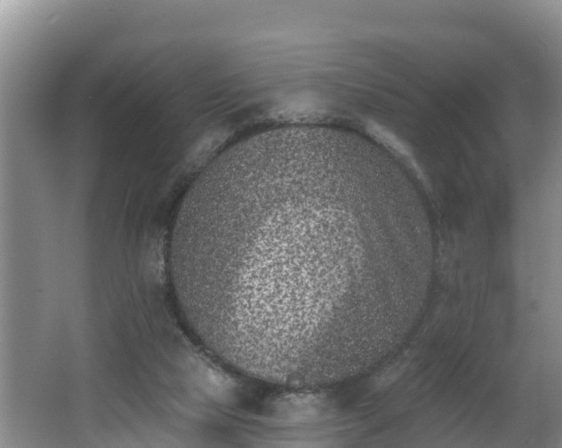 X0000062790065200512261606