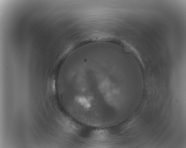 X0000062790067200512261606