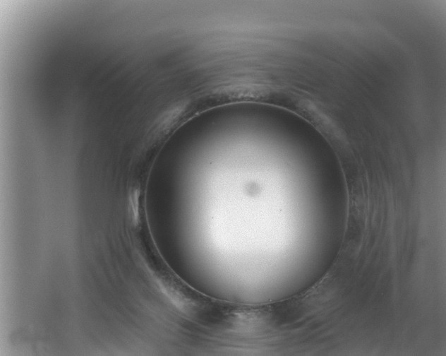 X0000062790070200512261606