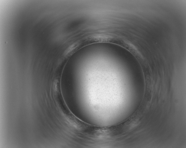 X0000062790071200512261606