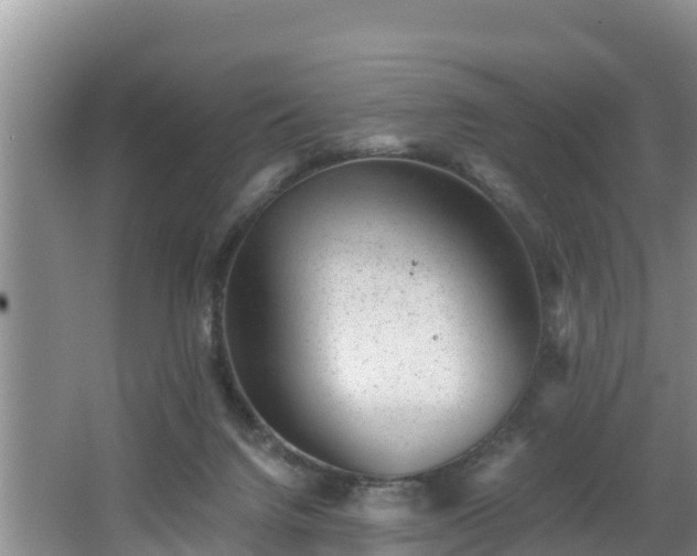 X0000062790072200512261606