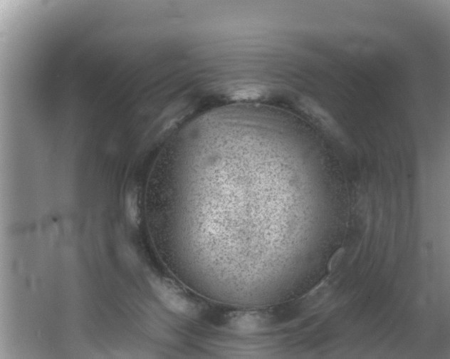 X0000062790074200512261606