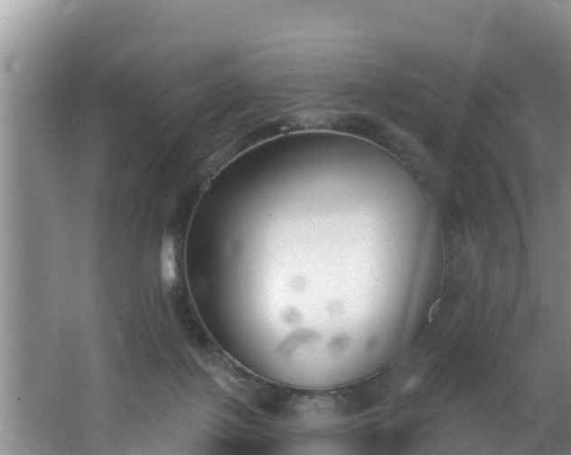 X0000062790075200512261606