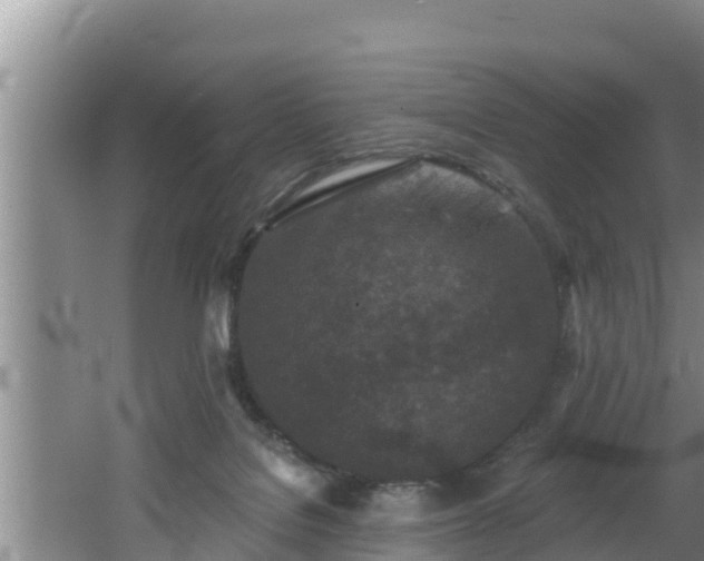 X0000062790076200512261606