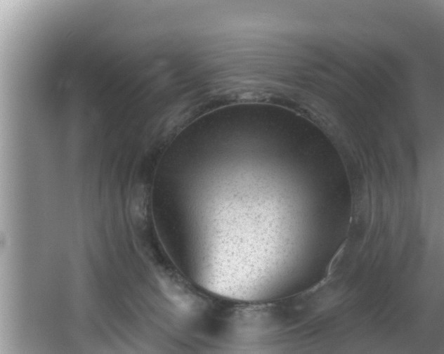 X0000062790078200512261606