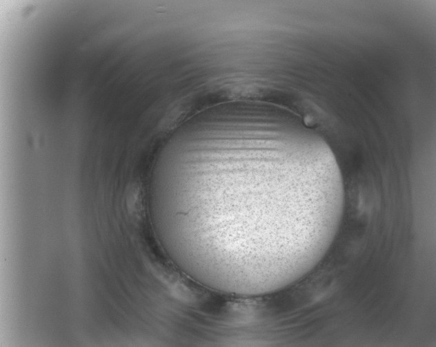 X0000062790079200512261606