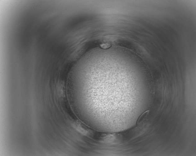 X0000062790083200512261607