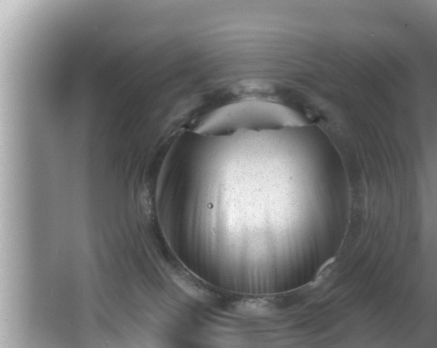 X0000062790086200512261607