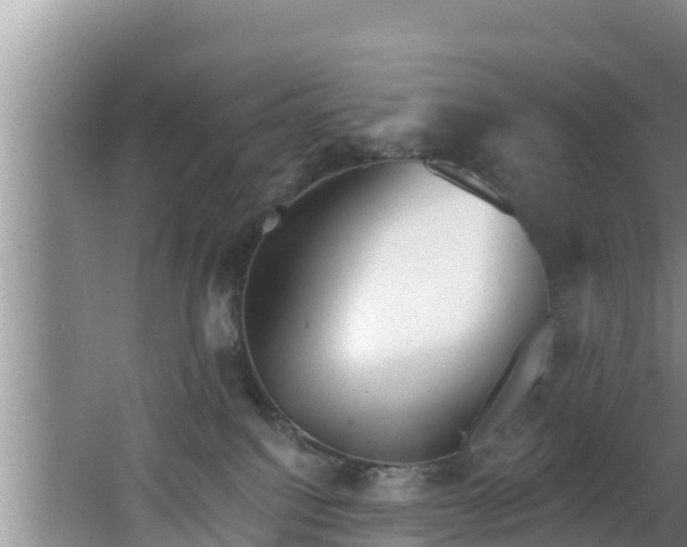 X0000062790088200512261607