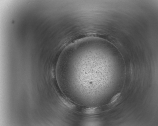 X0000062790090200512261607