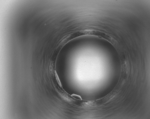 X0000062790092200512261607