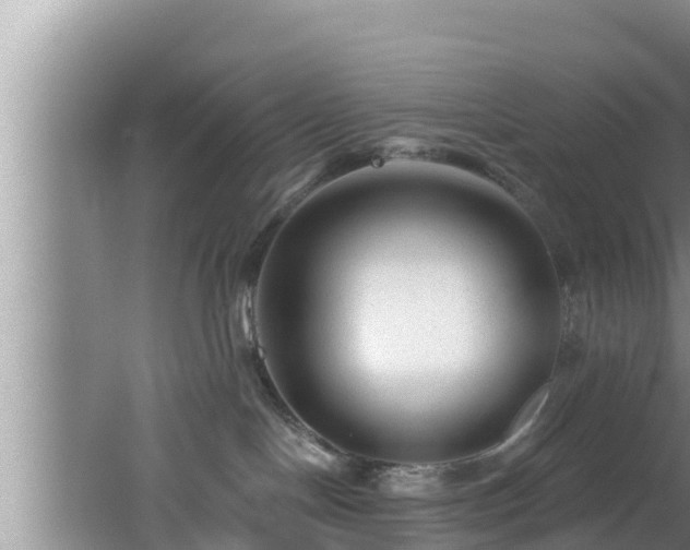 X0000062790094200512261607