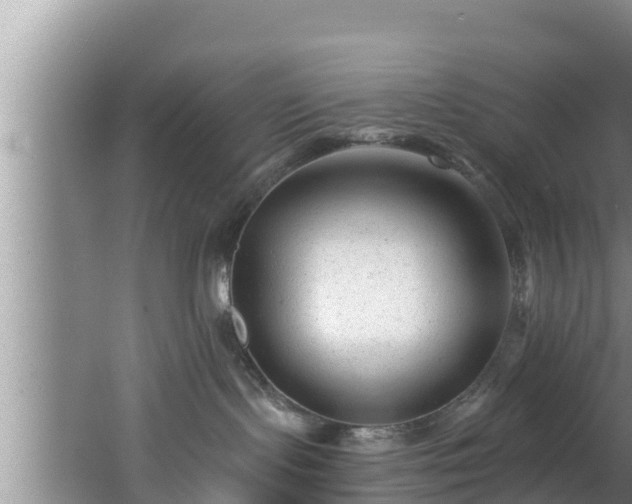 X0000062790095200512261607