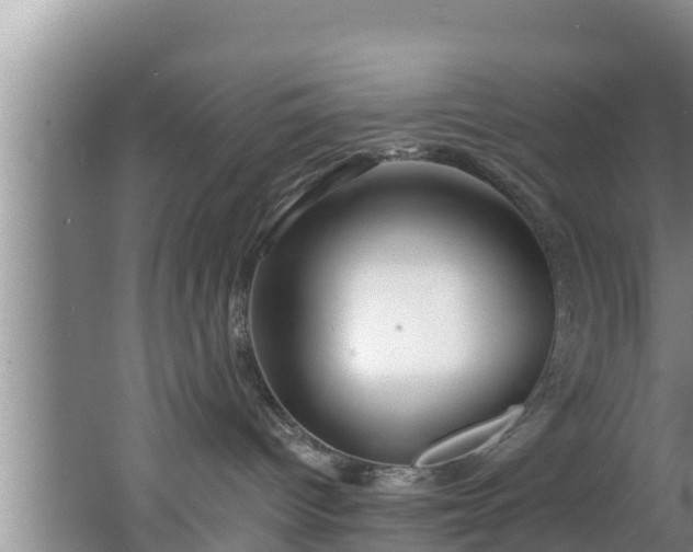 X0000062790096200512261607