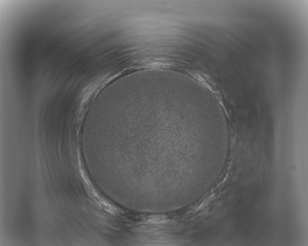 X0000062790097200512261606