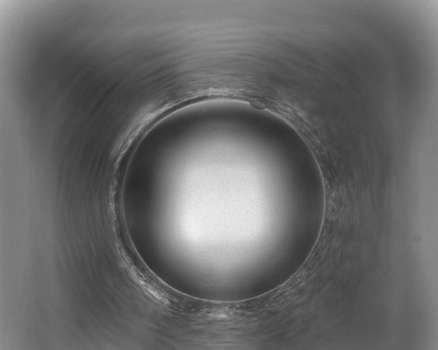 X0000062790098200512261606