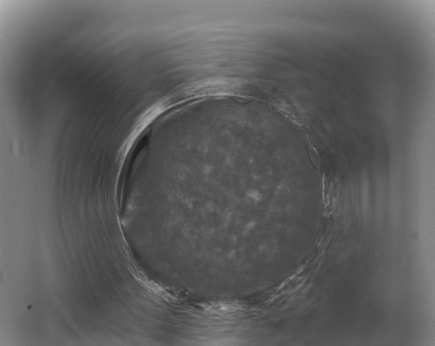 X0000062790099200512261606