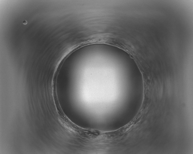 X0000062790100200512261606