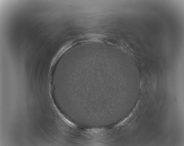 X0000062790101200512261606