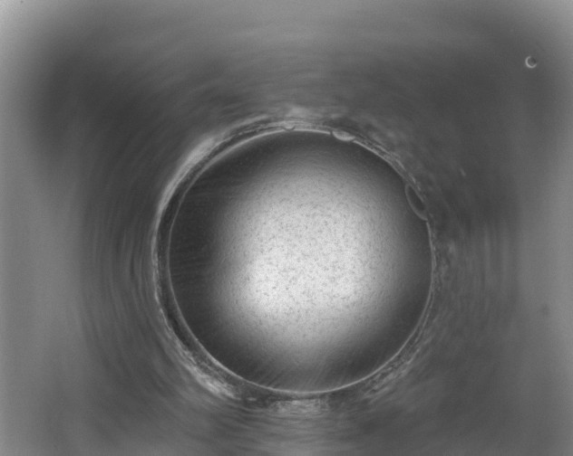 X0000062790102200512261606