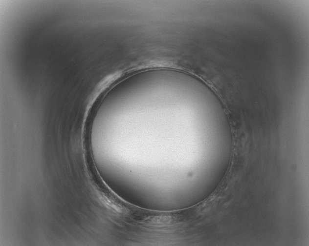 X0000062790104200512261606