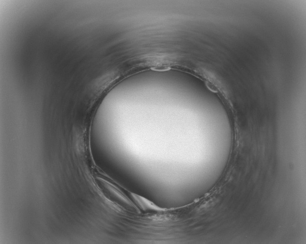 X0000062790105200512261606