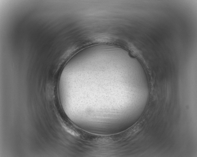 X0000062790106200512261606