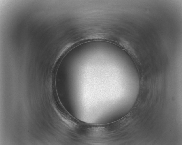 X0000062790108200512261606