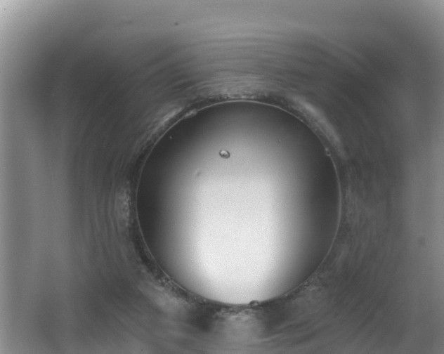 X0000062790113200512261606