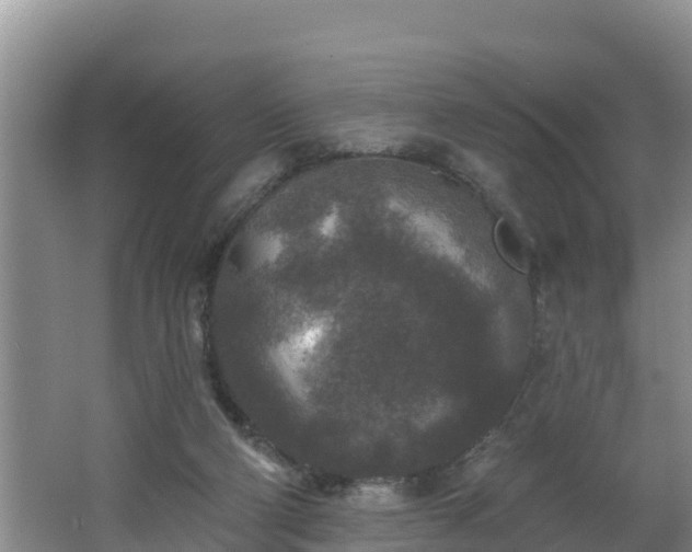 X0000062790114200512261606