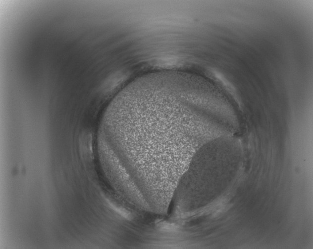 X0000062790115200512261606