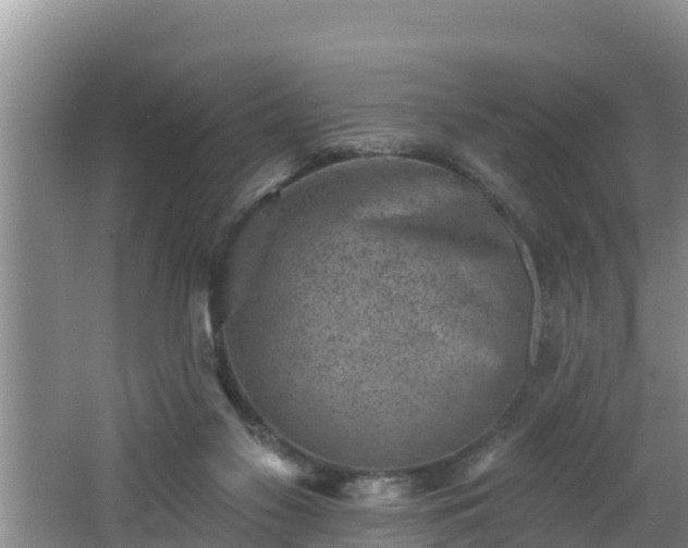 X0000062790117200512261606