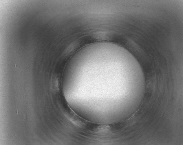 X0000062790124200512261605