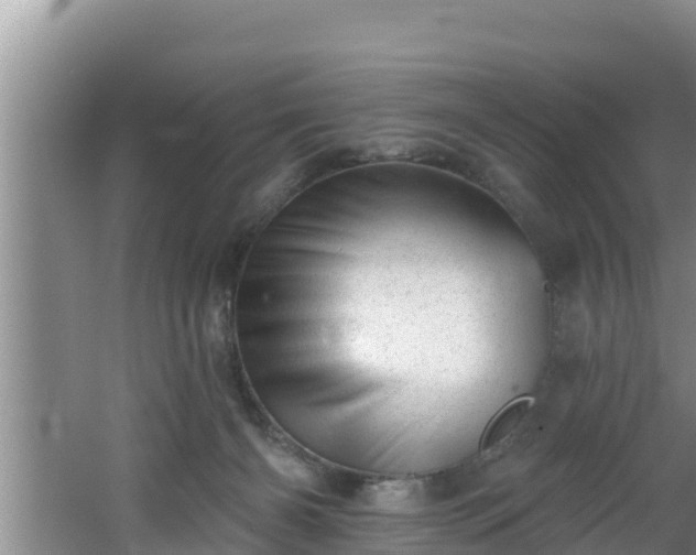 X0000062790126200512261605