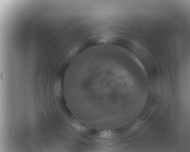 X0000062790127200512261605