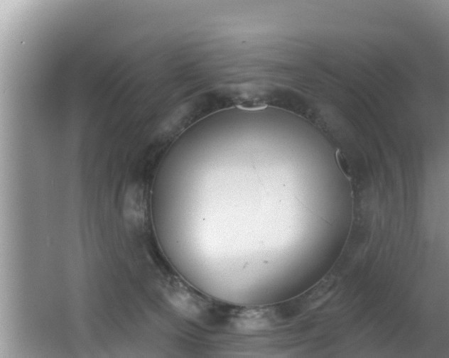 X0000062790129200512261605