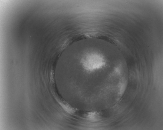 X0000062790130200512261605