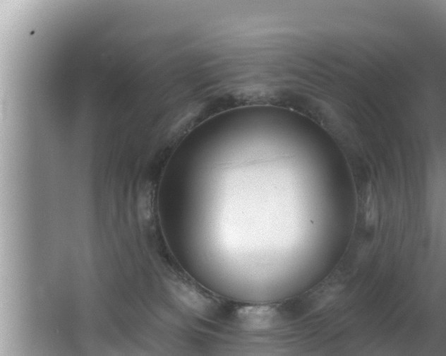 X0000062790133200512261605