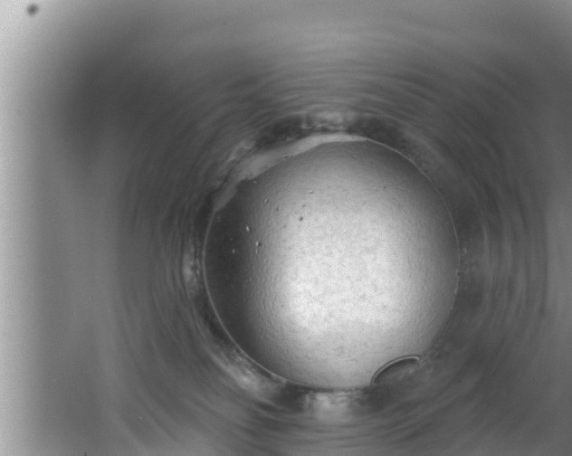 X0000062790134200512261605