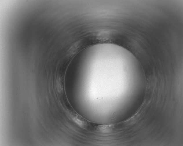 X0000062790136200512261605