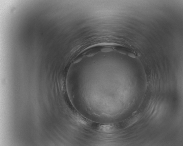 X0000062790139200512261605