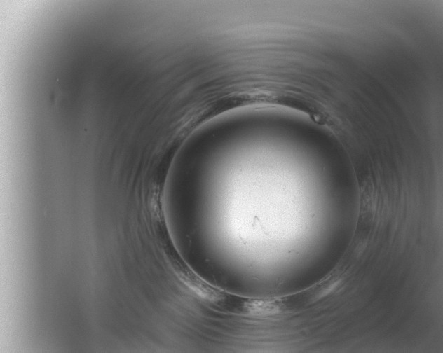 X0000062790141200512261605