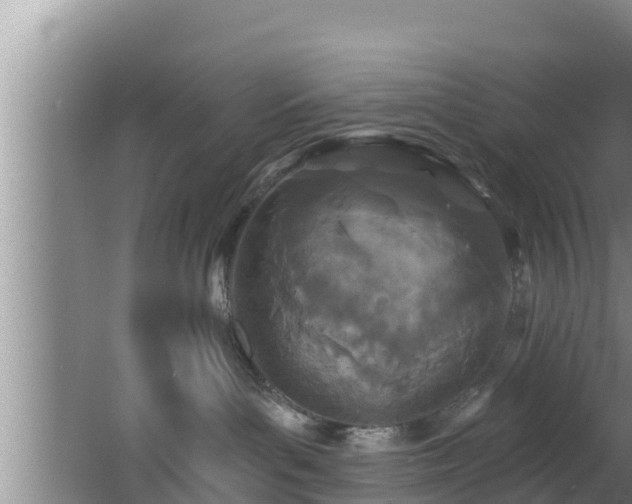 X0000062790143200512261605