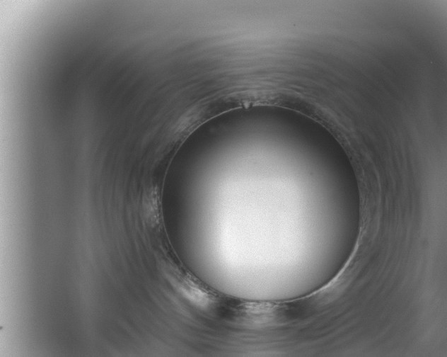 X0000062790144200512261605