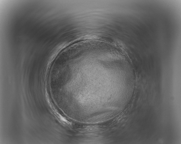 X0000062790145200512261604