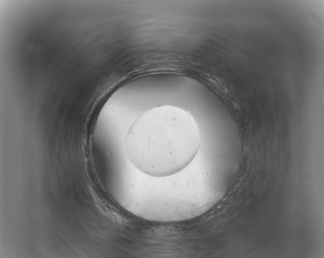 X0000062790146200512261604