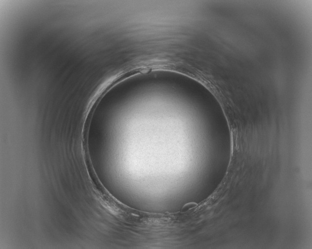 X0000062790147200512261604