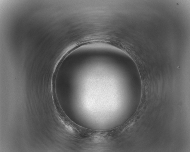 X0000062790148200512261604