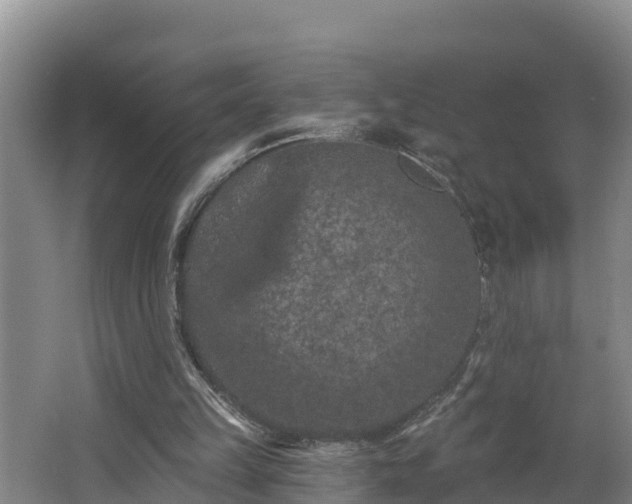 X0000062790149200512261604